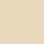 CODE-DE-POUDRE-RAL-1013